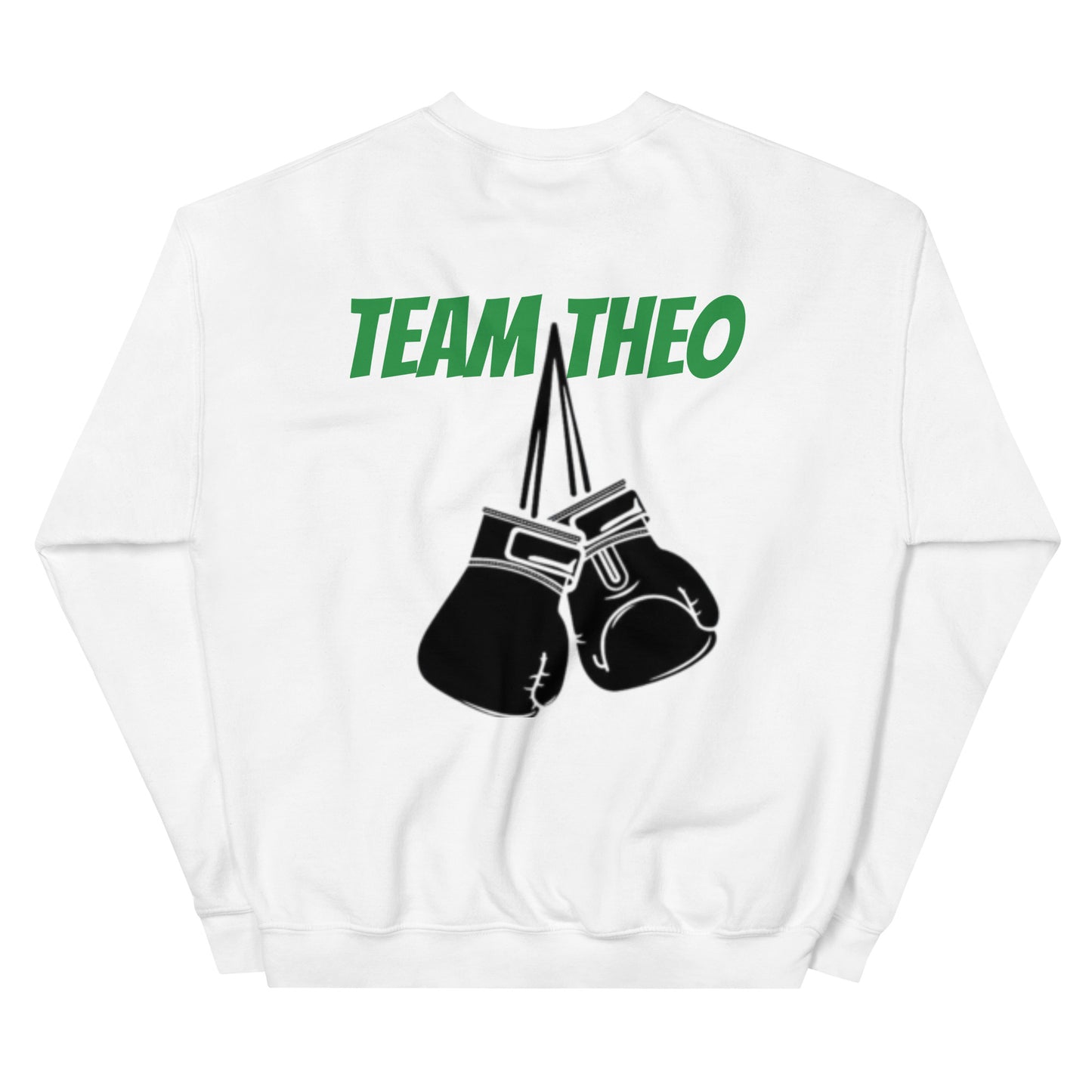 LUCKYLEFTY X TEAM THEO sweatshirt
